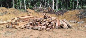 IMG-20250908-WA0033