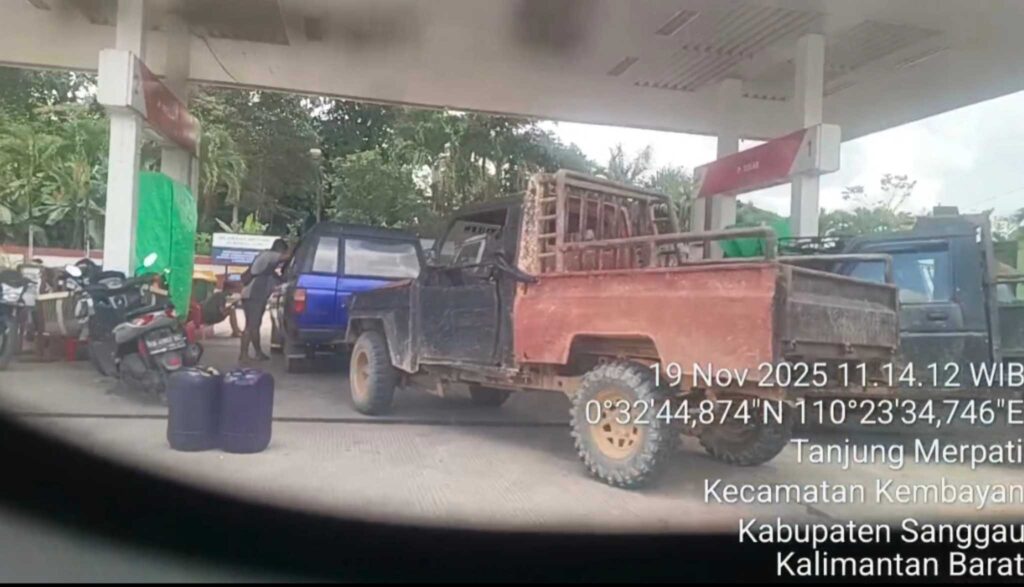 InShot_20251119_162011749