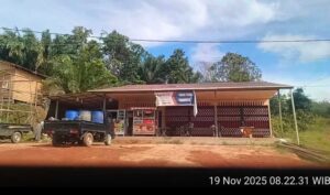 InShot_20251119_171329501