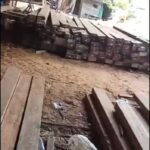 Kayu Belian Tanpa Document Diperdagangkan Di Pontianak