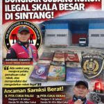 file_00000000205872079c9baccedabd2540